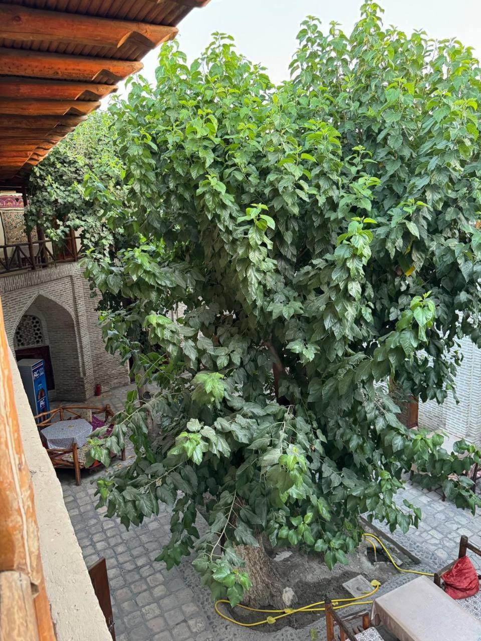 Ohun 18Th Century Caravansarai Bukhara Esterno foto